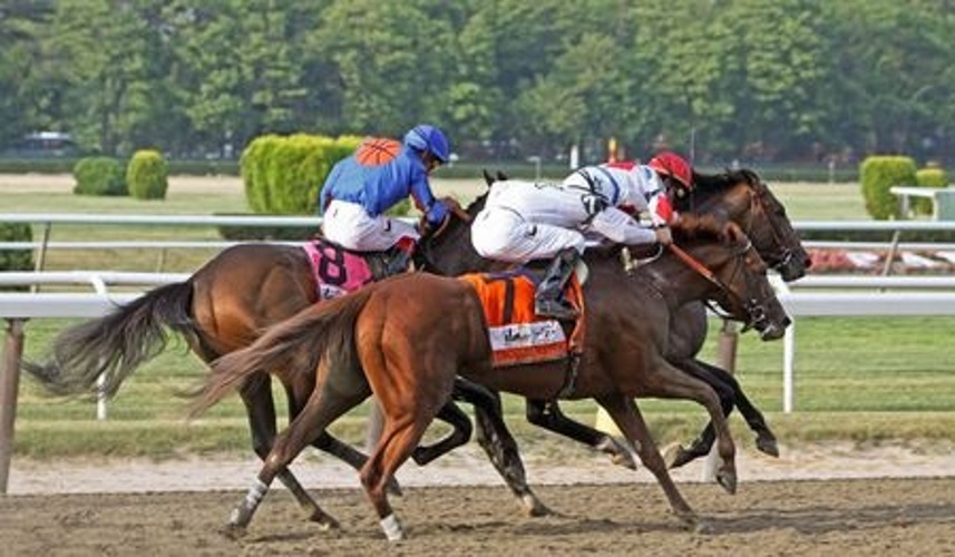 Belmont Stakes Preview 2016